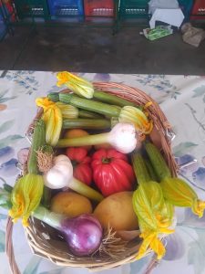 insalta zucchini, pomoodori